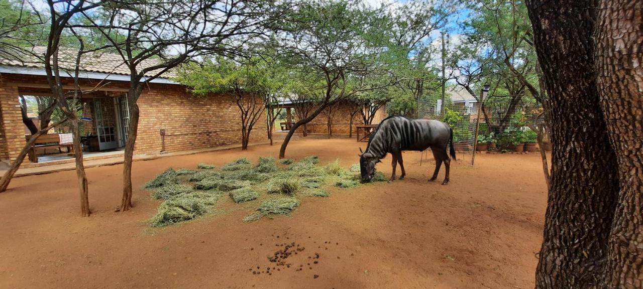 462 Bosbok Chalets Marloth Park Exterior foto