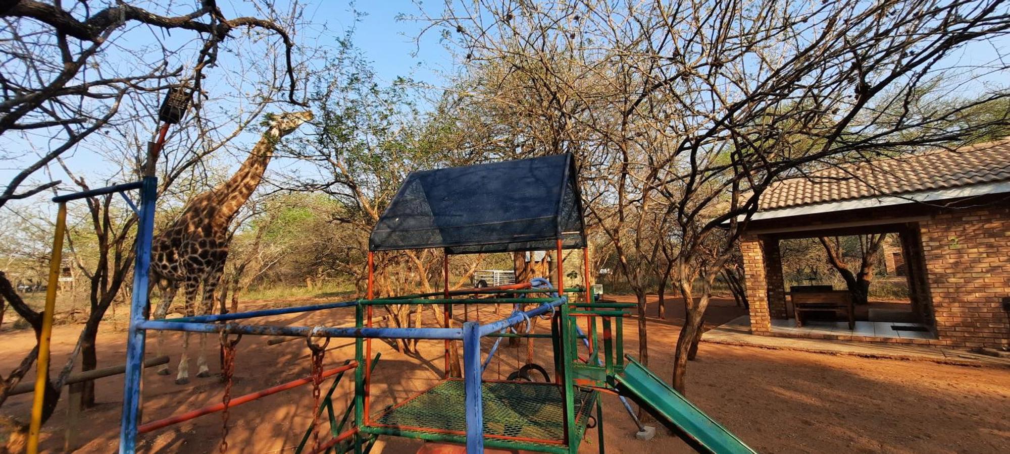 462 Bosbok Chalets Marloth Park Zimmer foto